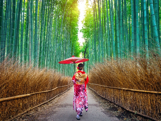 Japan turu - Dolu Dolu Japonya Turu Mistik Rotalar (Osaka’da Universal Studio)